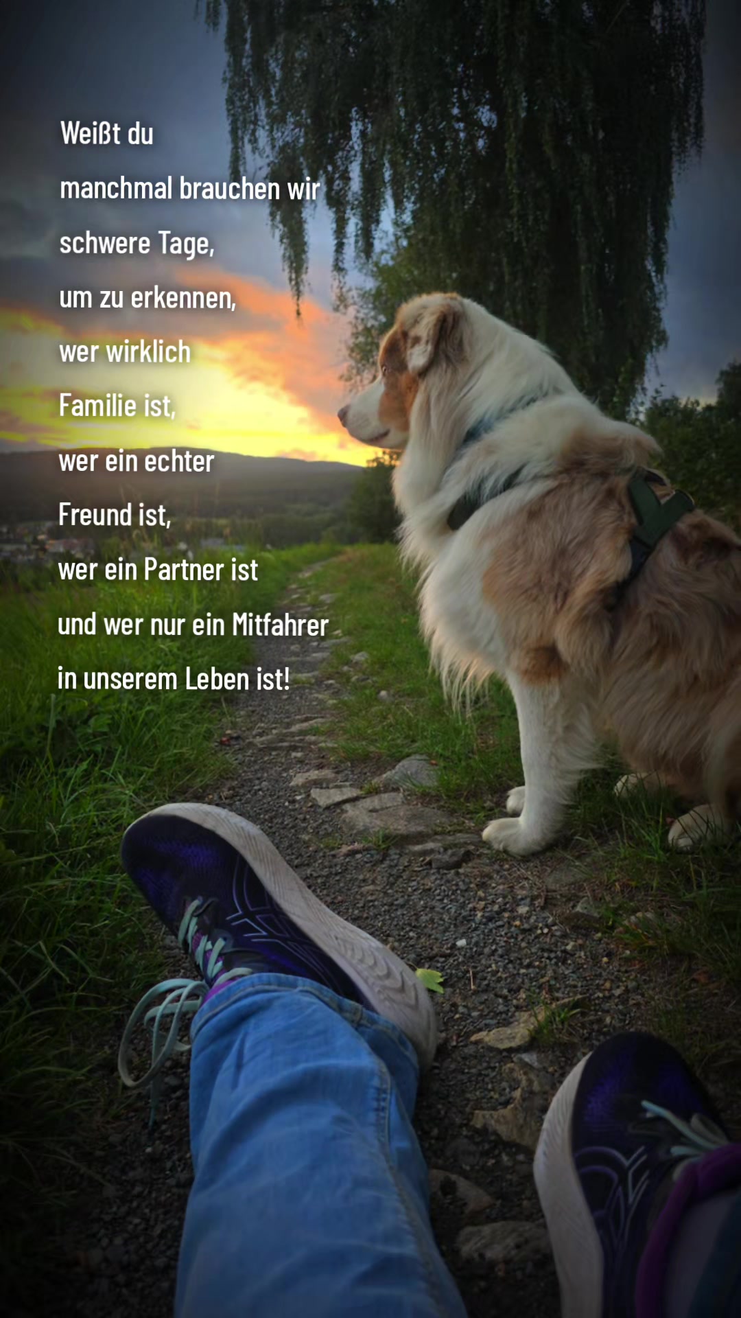 @Sonnenschein 🌞