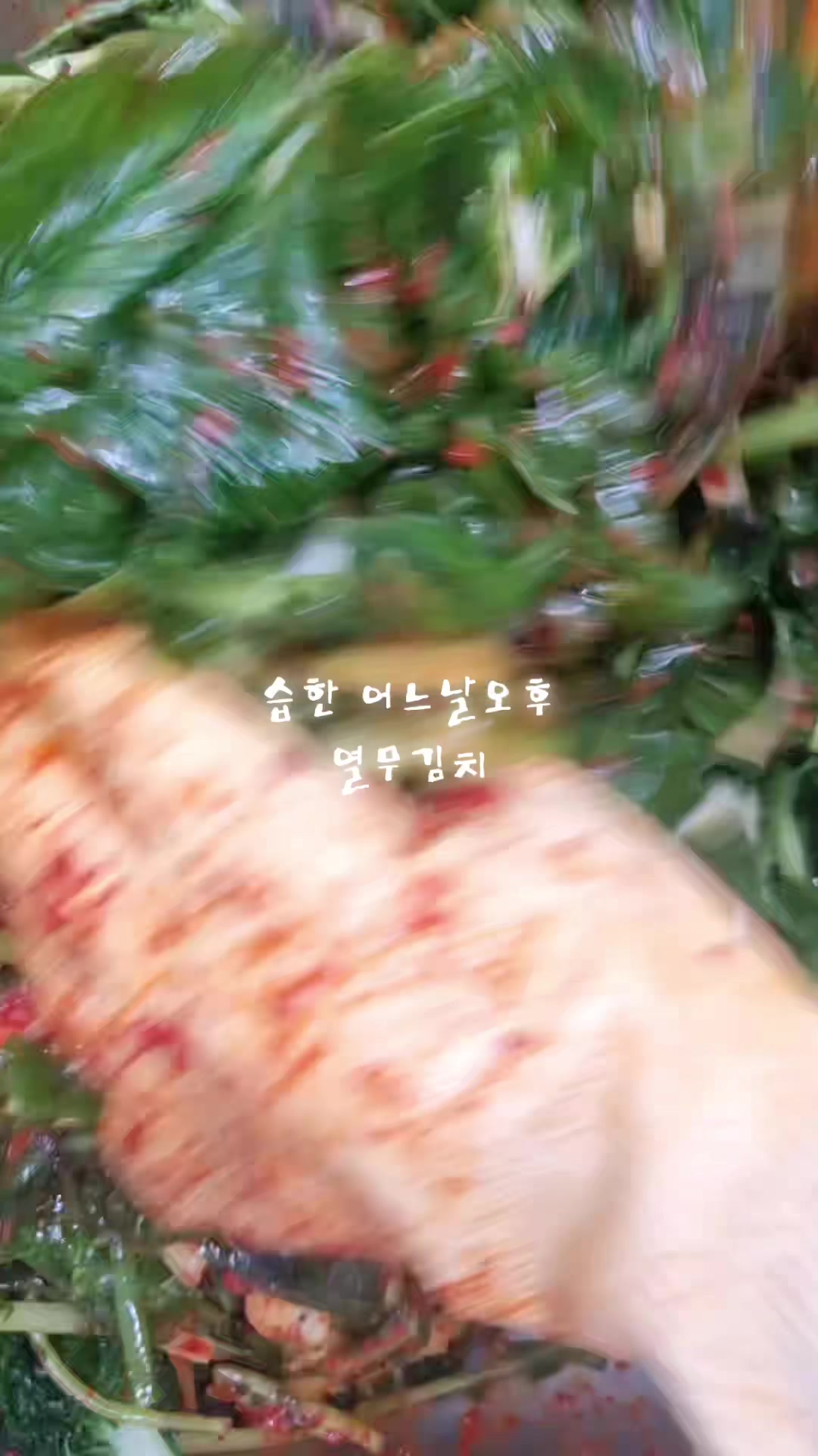 @김치클래식 서울강서점
