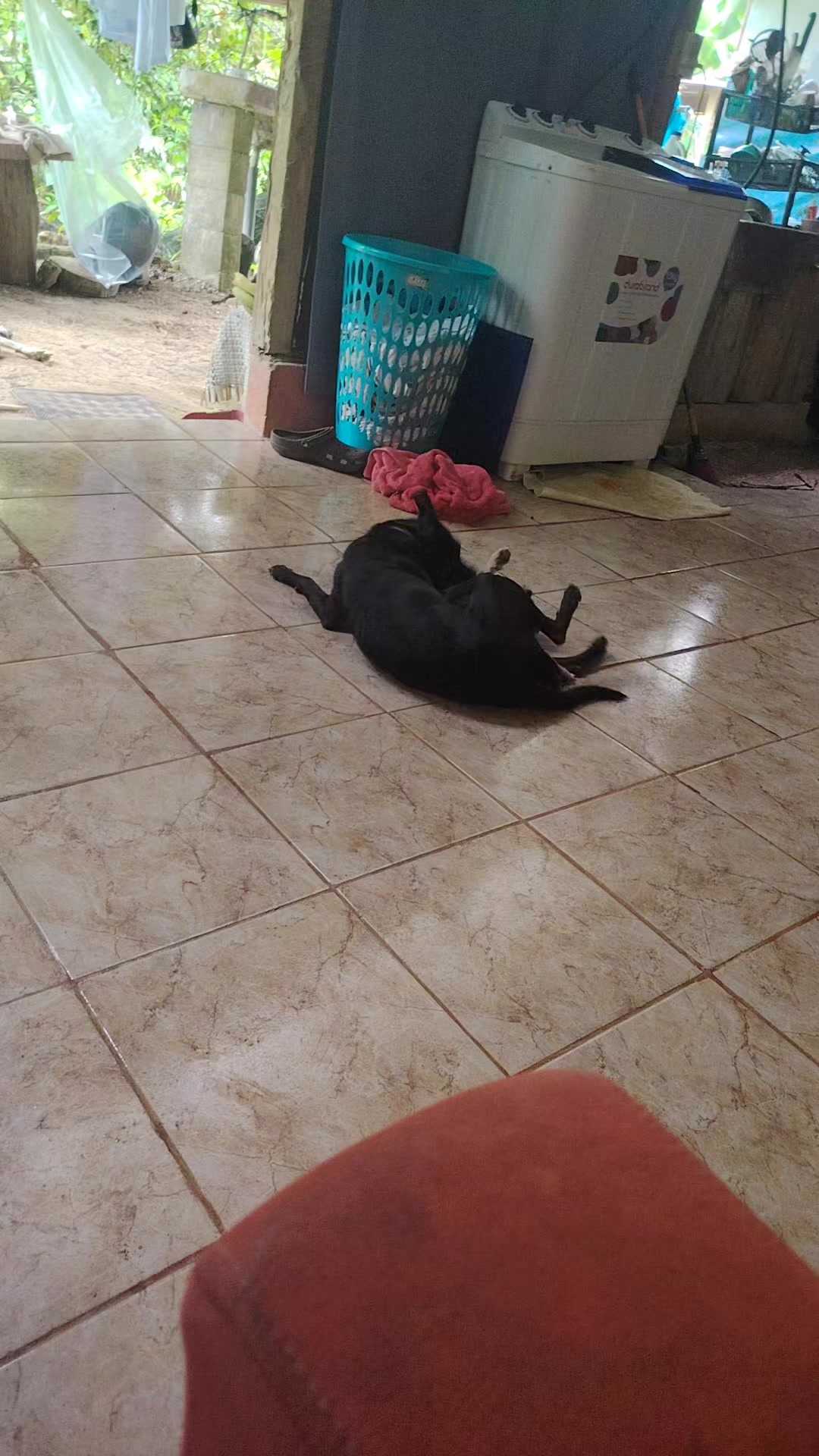 @M Diaz Mejia