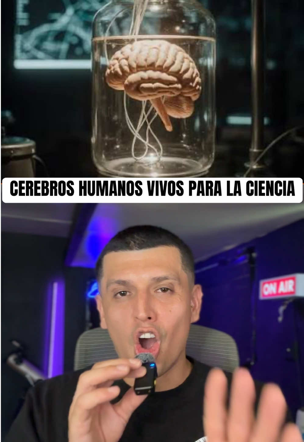 @NUEVO MILENIO