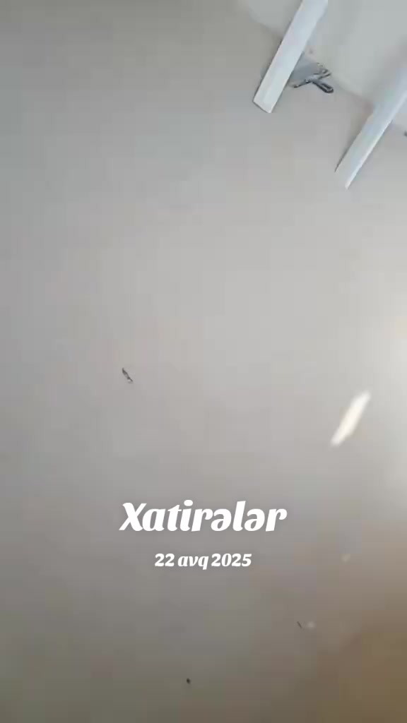 @Kamran