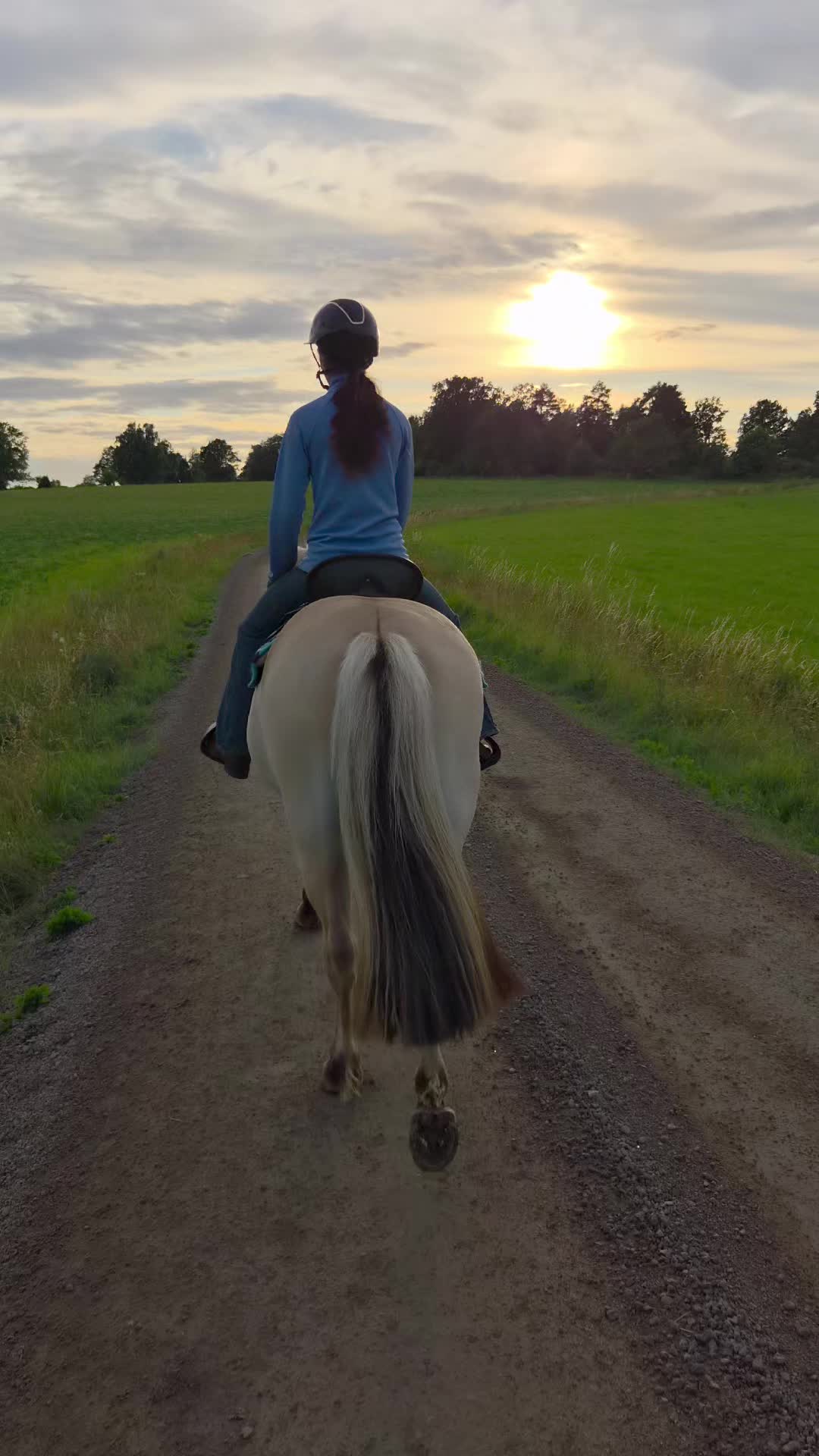 @🤠💛🦬𝐂𝐚𝐣𝐬𝐚🦬💛🤠