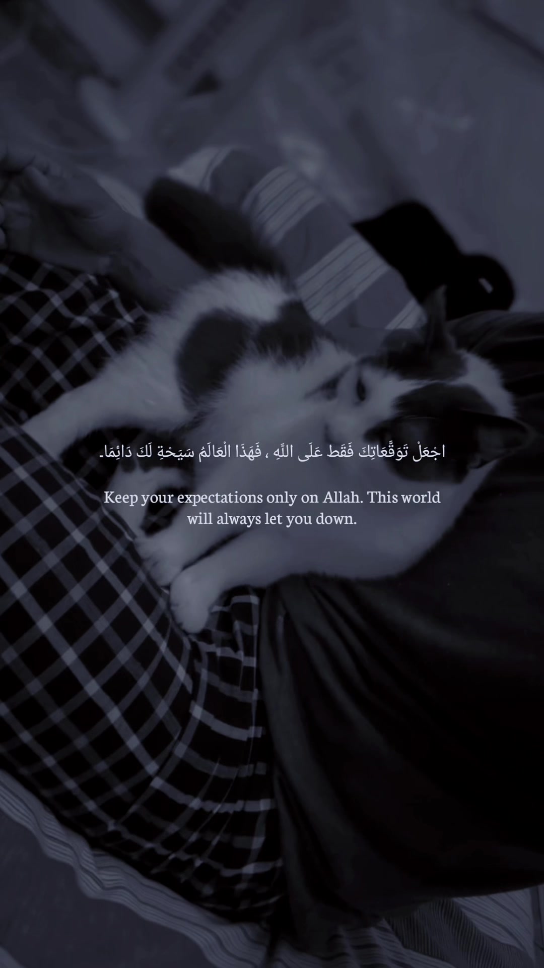 @majidz.96