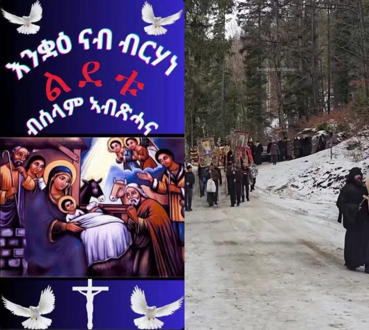 @ወዲ ሎጎ ጭዋ. (ሓወ አብረሀት)