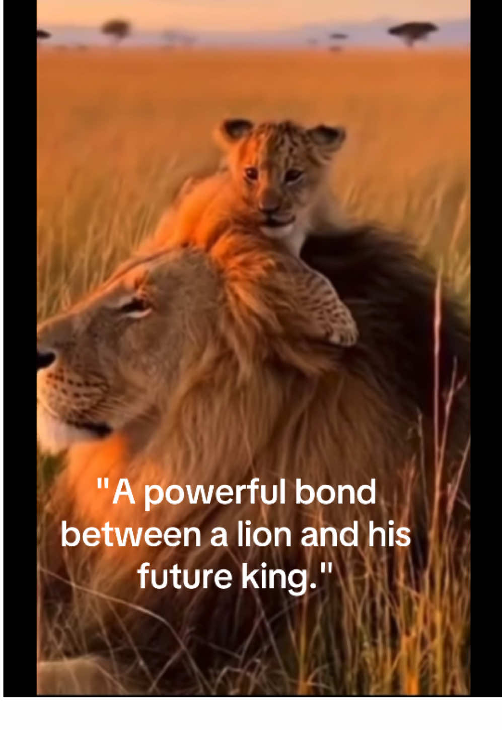 @KJ@LoveAnimalsEpicNature