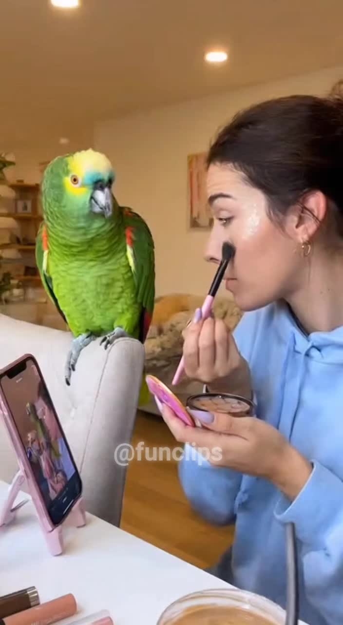 @FunClips