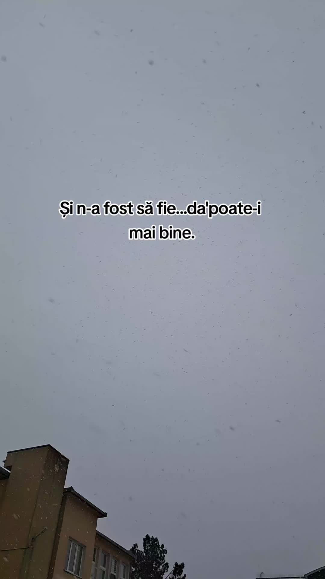 @🖤FLORIN MAFIOTUL🖤