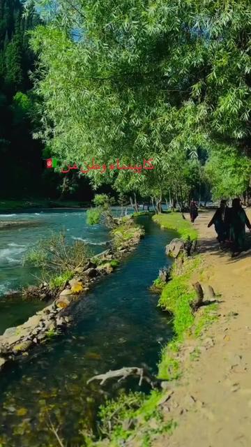 @Ramin kohestani🦅🦁