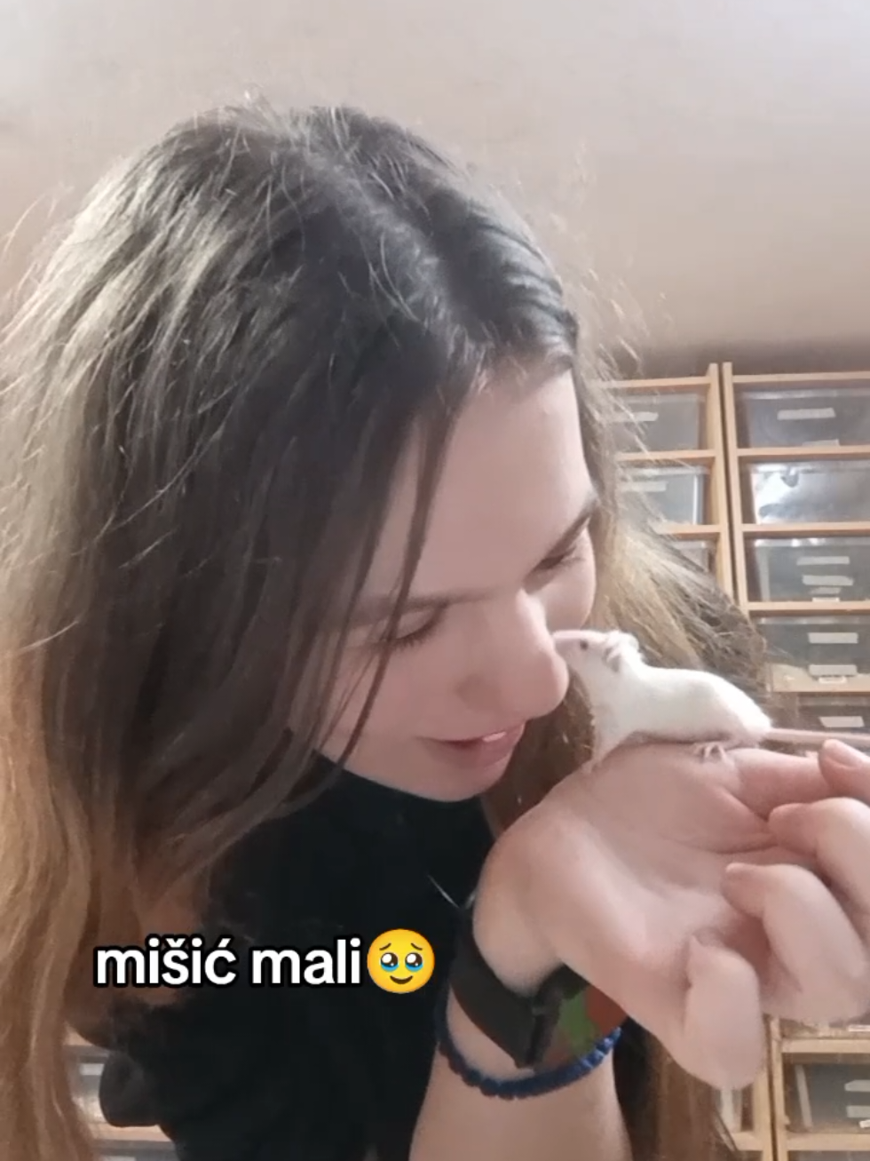 @๐ ๐๐ข๐๐๐ ๐