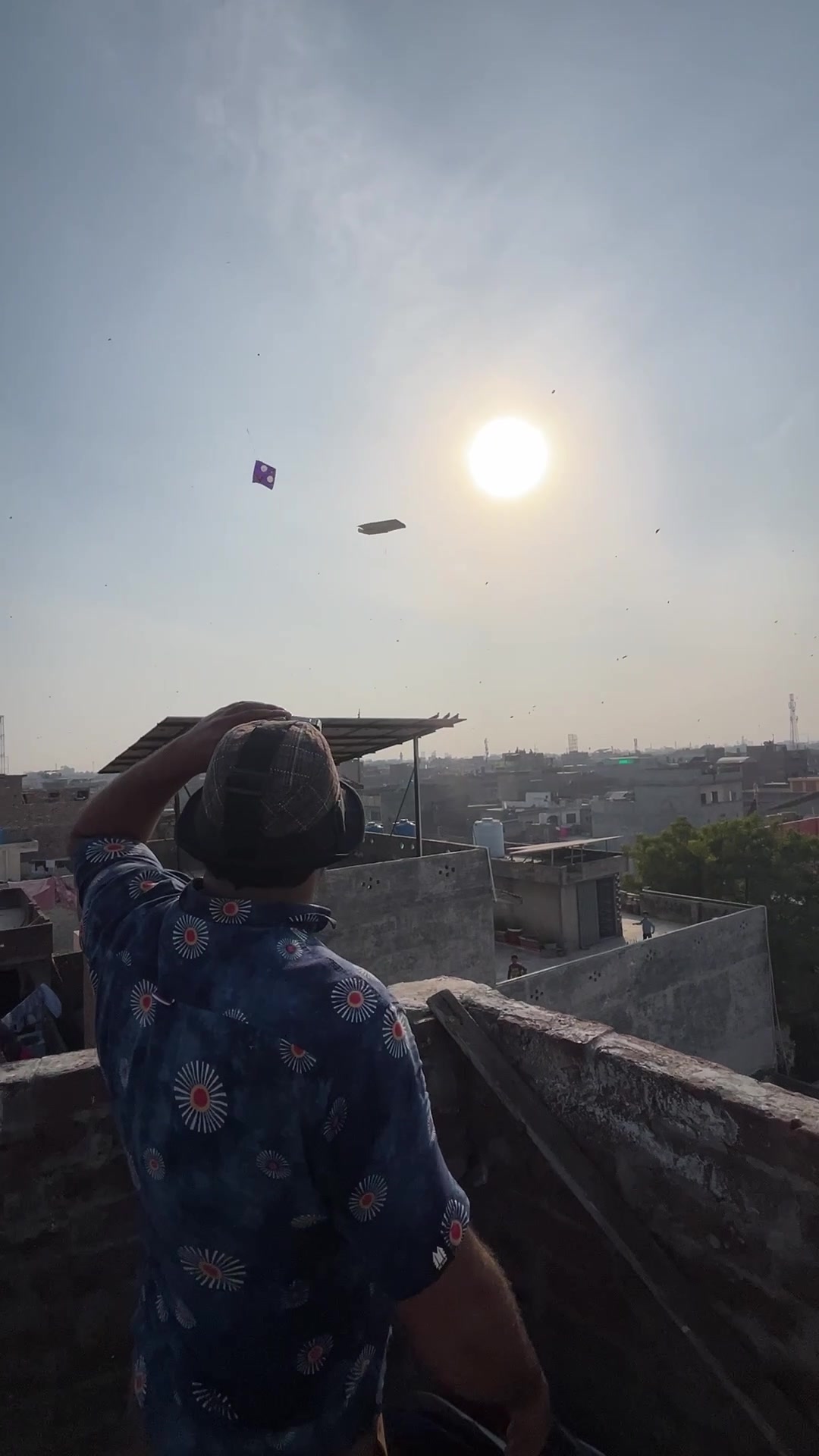 @Tarzan Kites