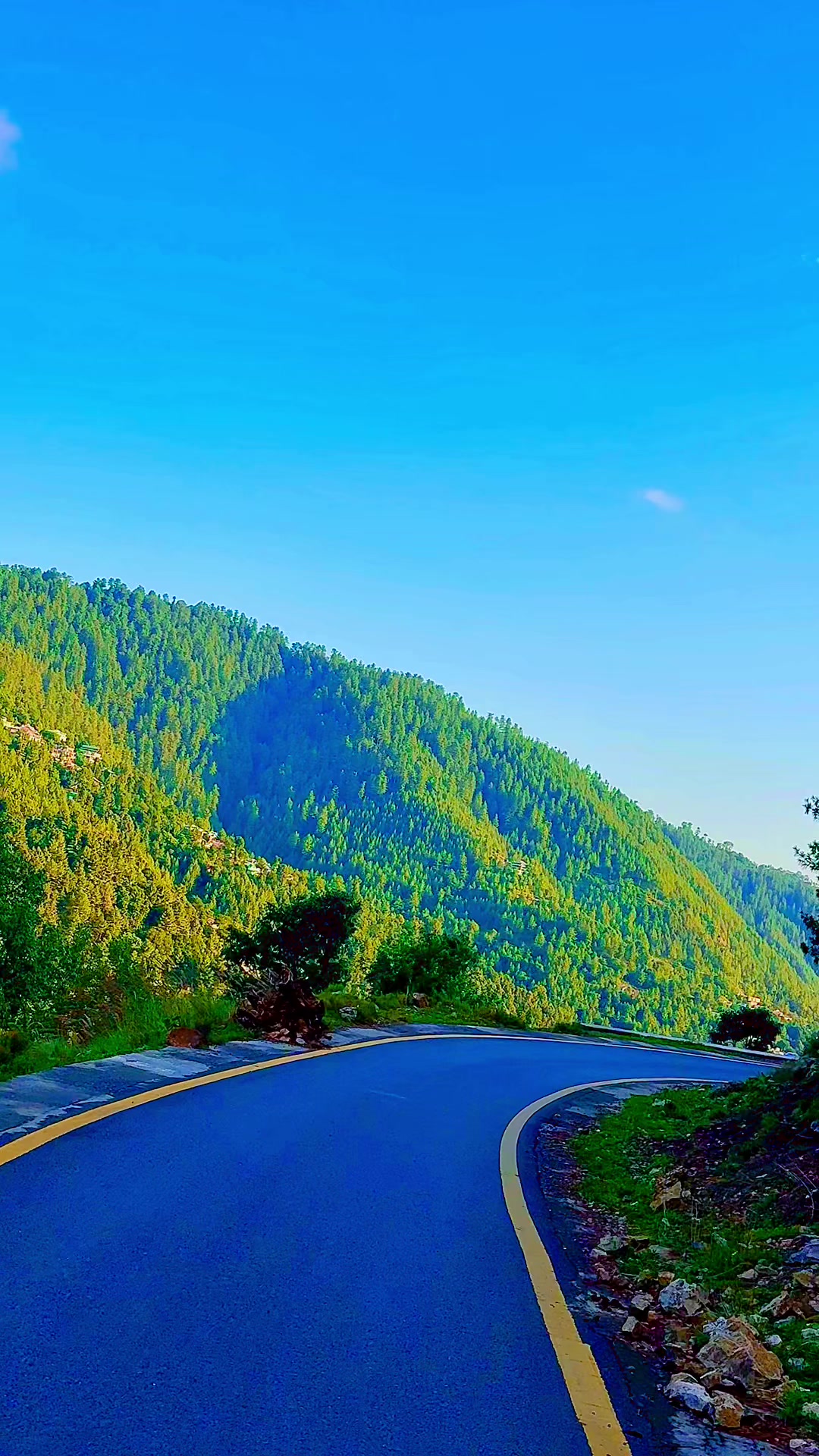 @🕊️𝓔𝓵𝓲𝓽𝓮_𝓥𝓲𝓫𝓮𝓼🕊️