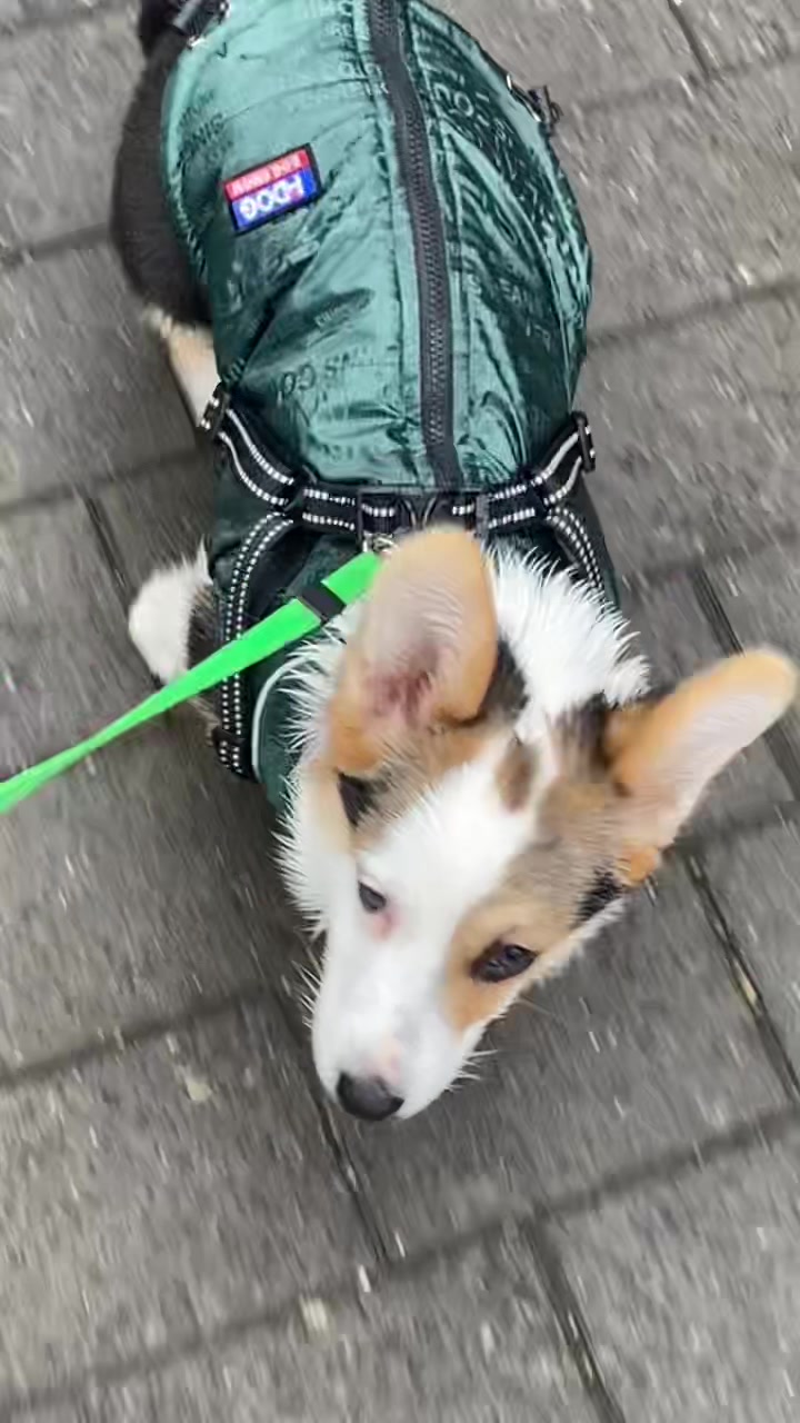 @yoshiundstitch