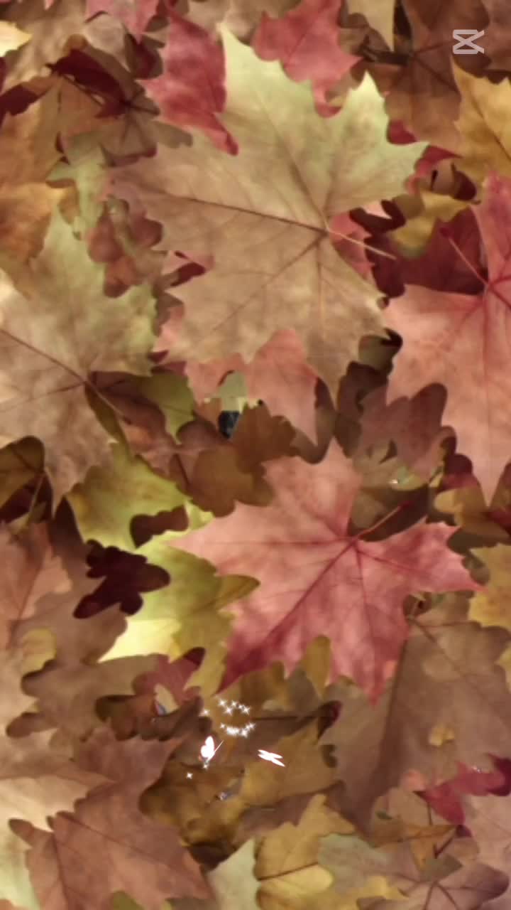 @Junu_rai582