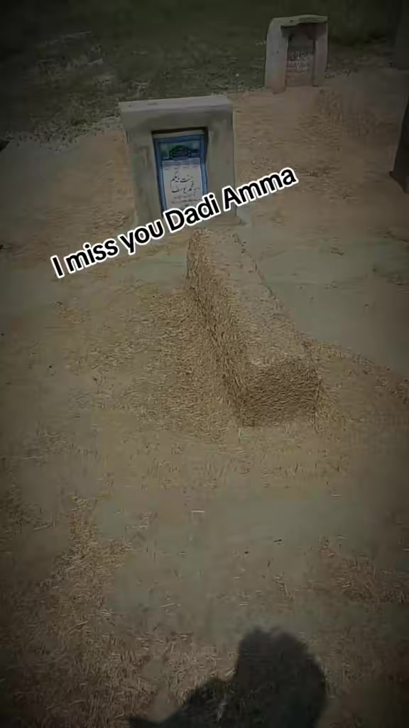 @M Anees Rajpoot