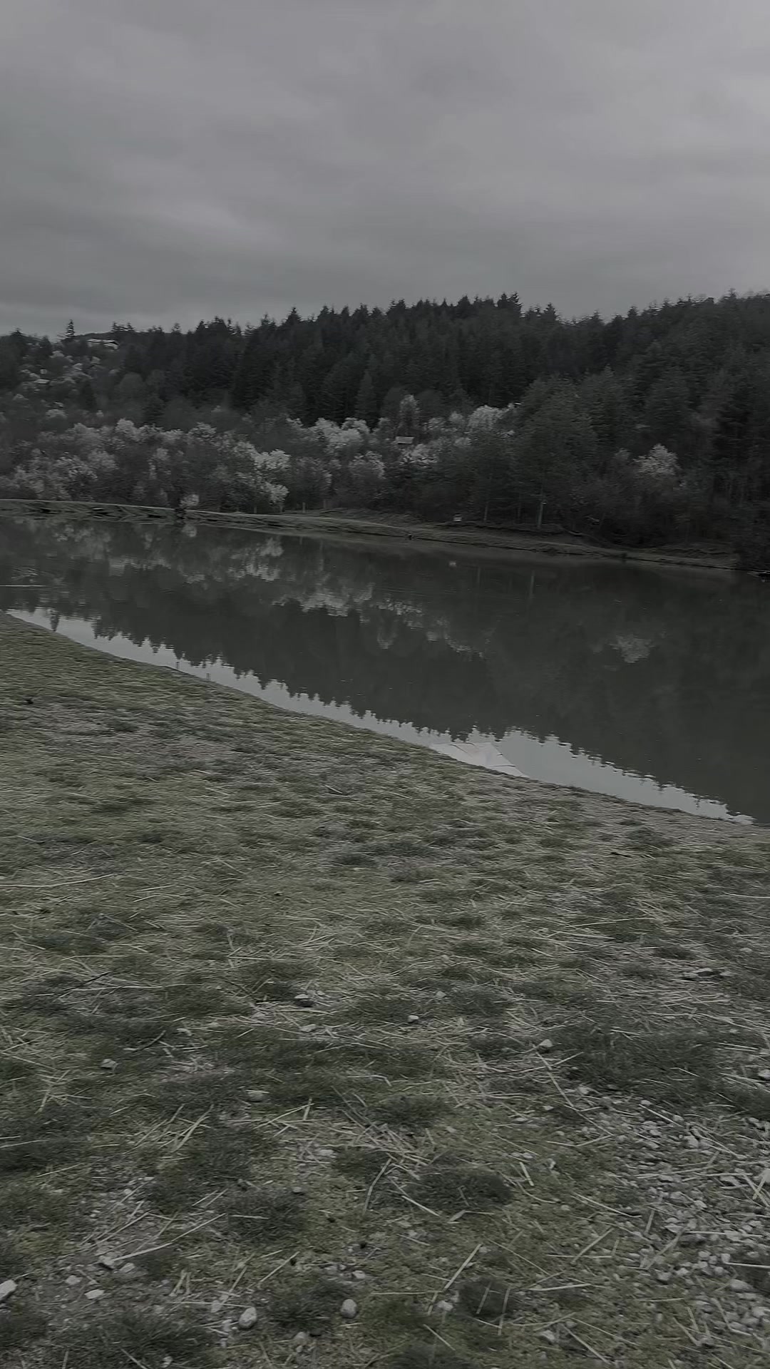 @Tseno Nechev