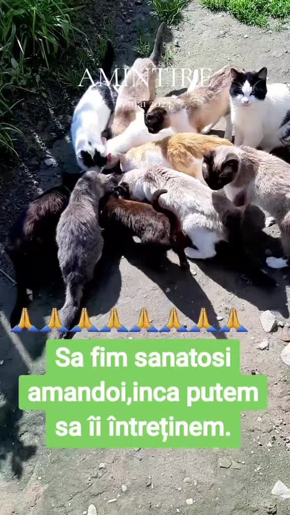 @Stefania