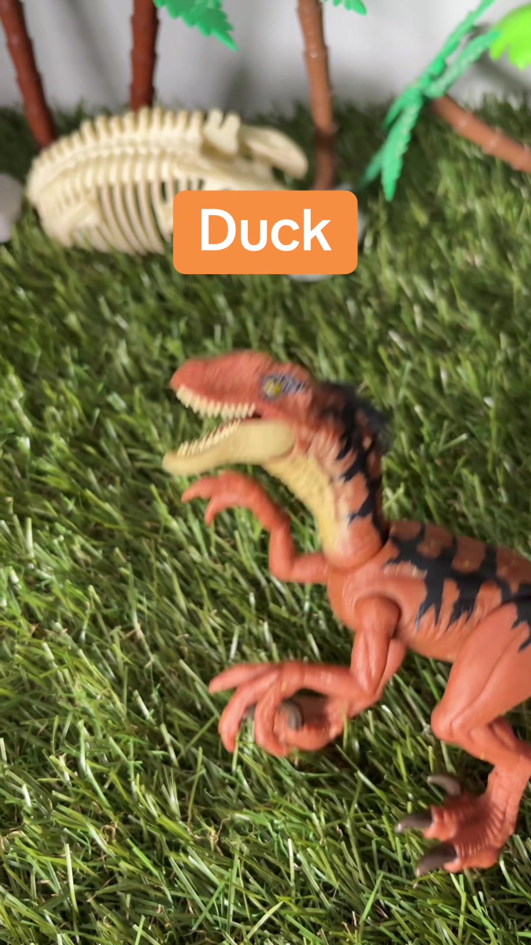 @DanielG1856