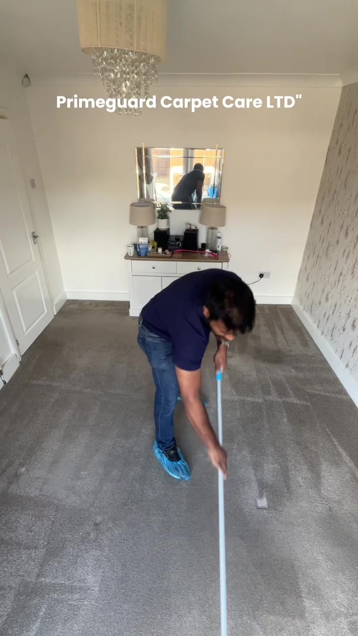 @Primeguard Carpet Care