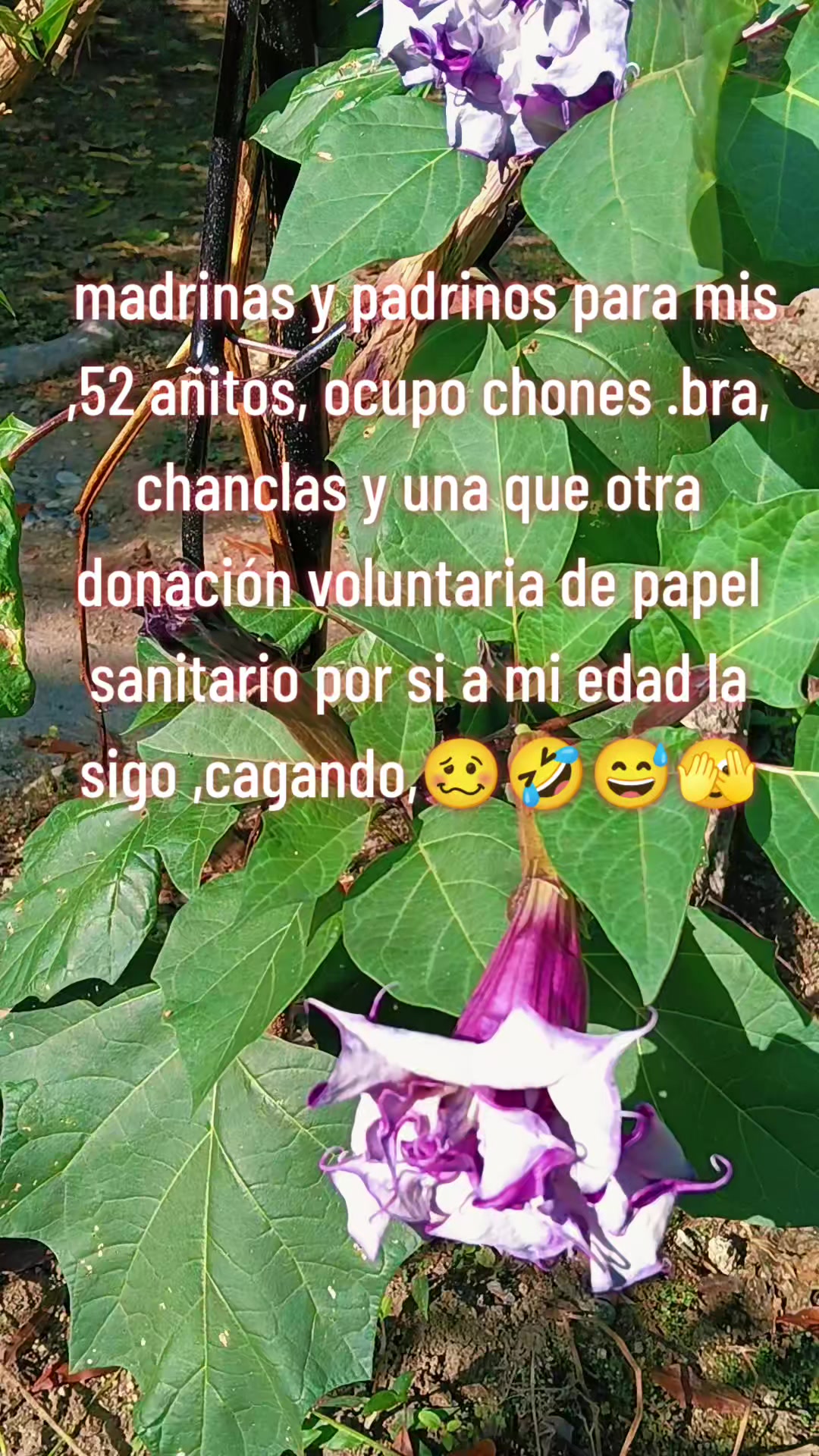 @🌻tina Montiel Lara. 🌻