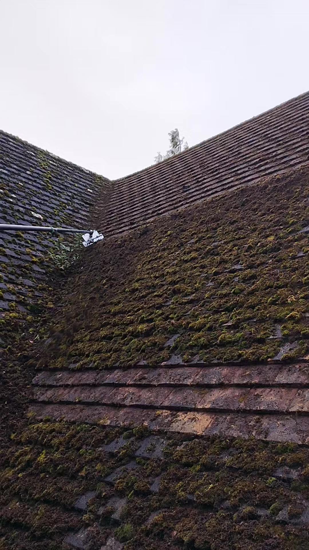 @Hadlow Exterior Cleaning