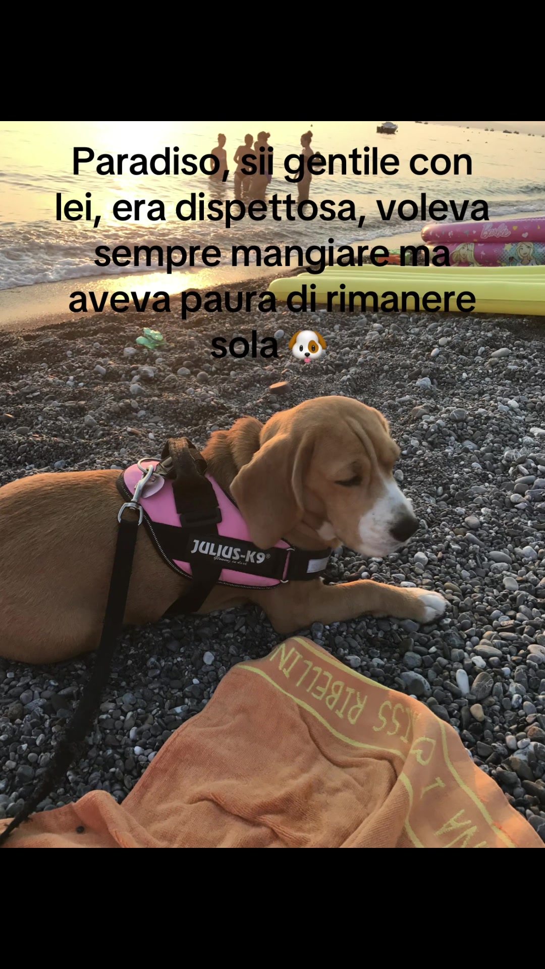 @Imma.buono