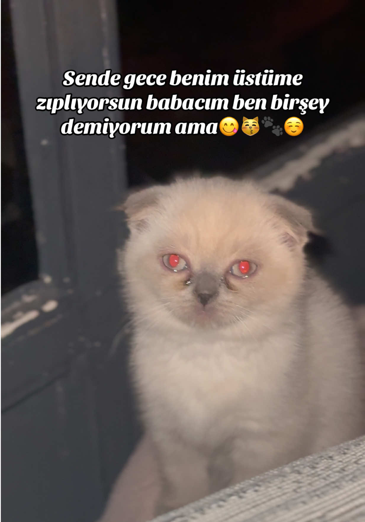 @Miyav Çete