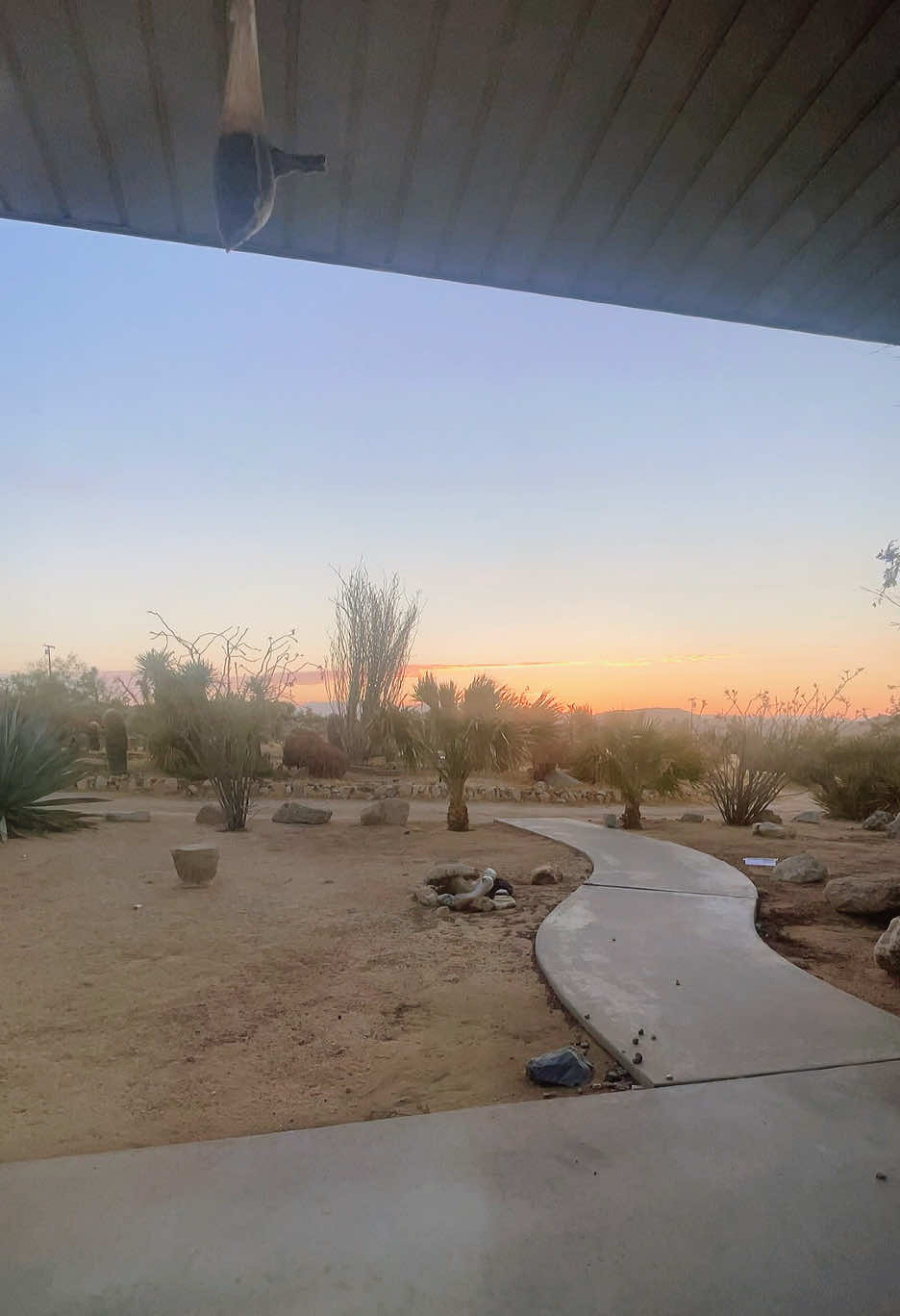 @Marxalopez