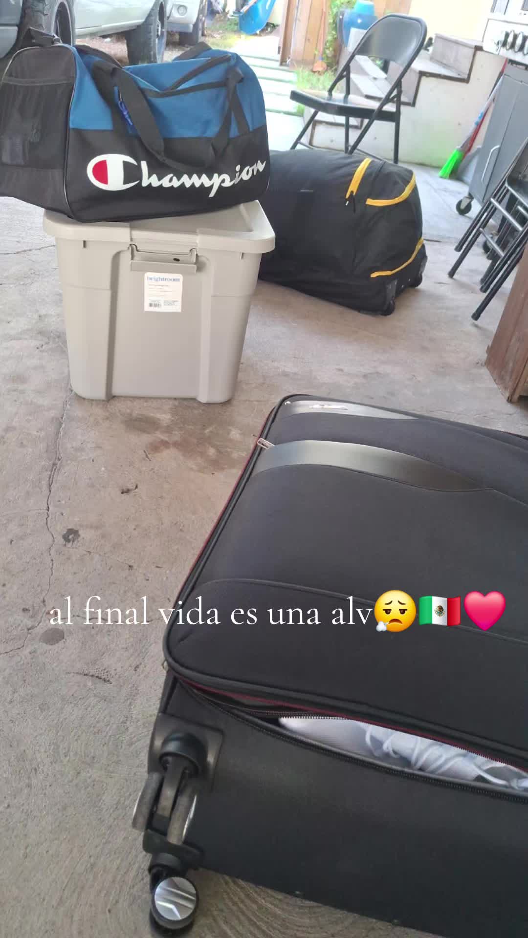 @Gustavo Frias501