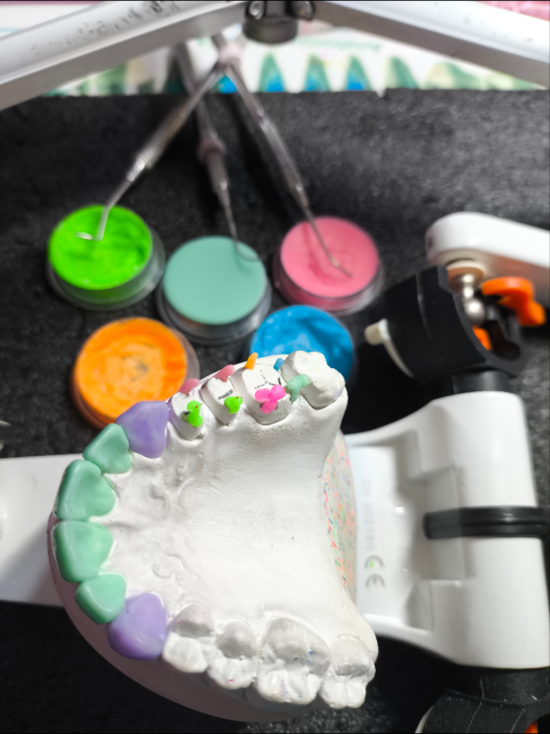 @CBM MORFOLOG&Iacute;A DENTAL