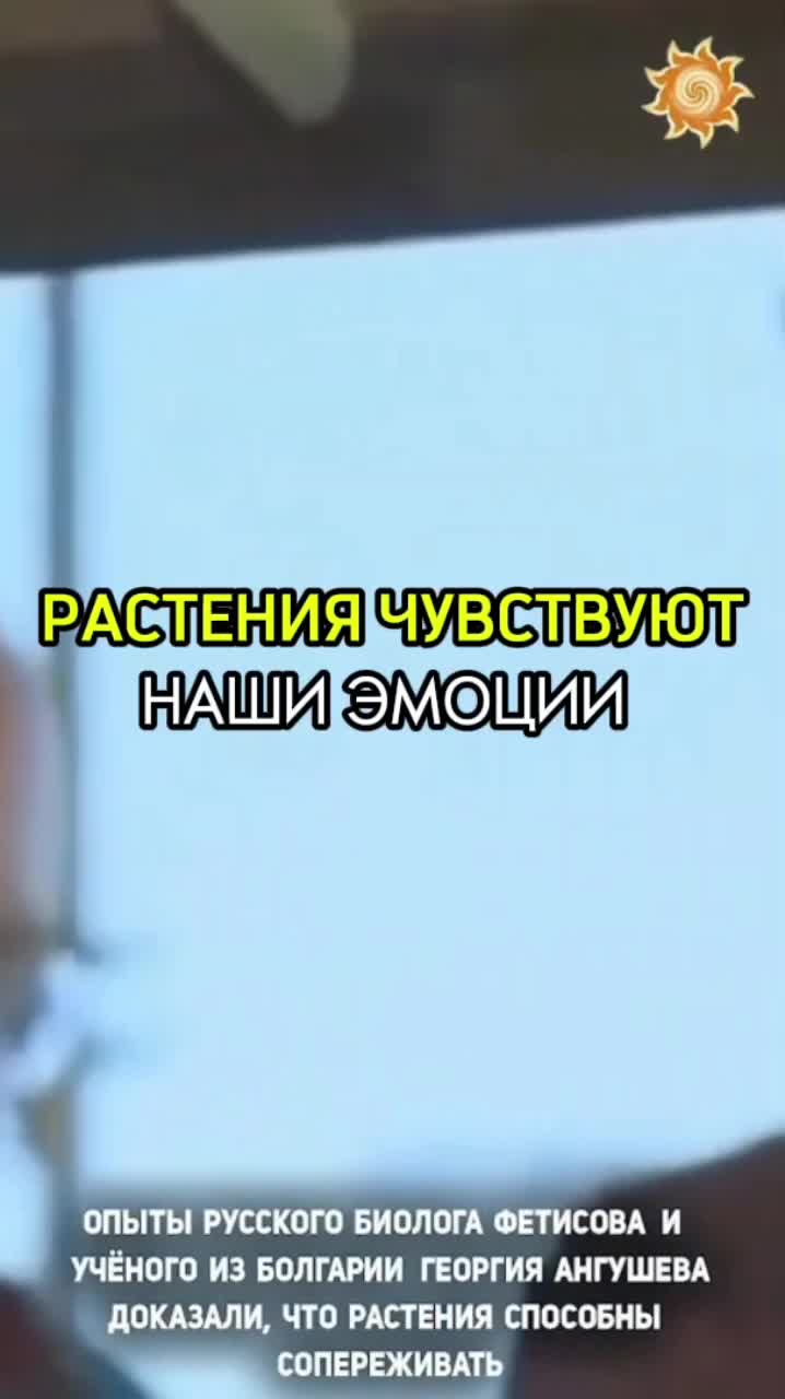 @Славмир