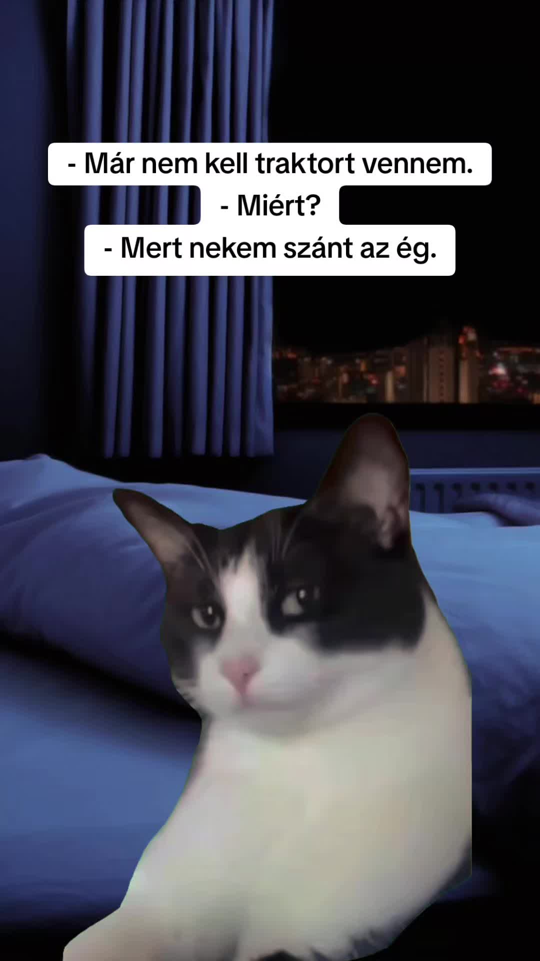 @🐼 Po&eacute;nPanda 🐼