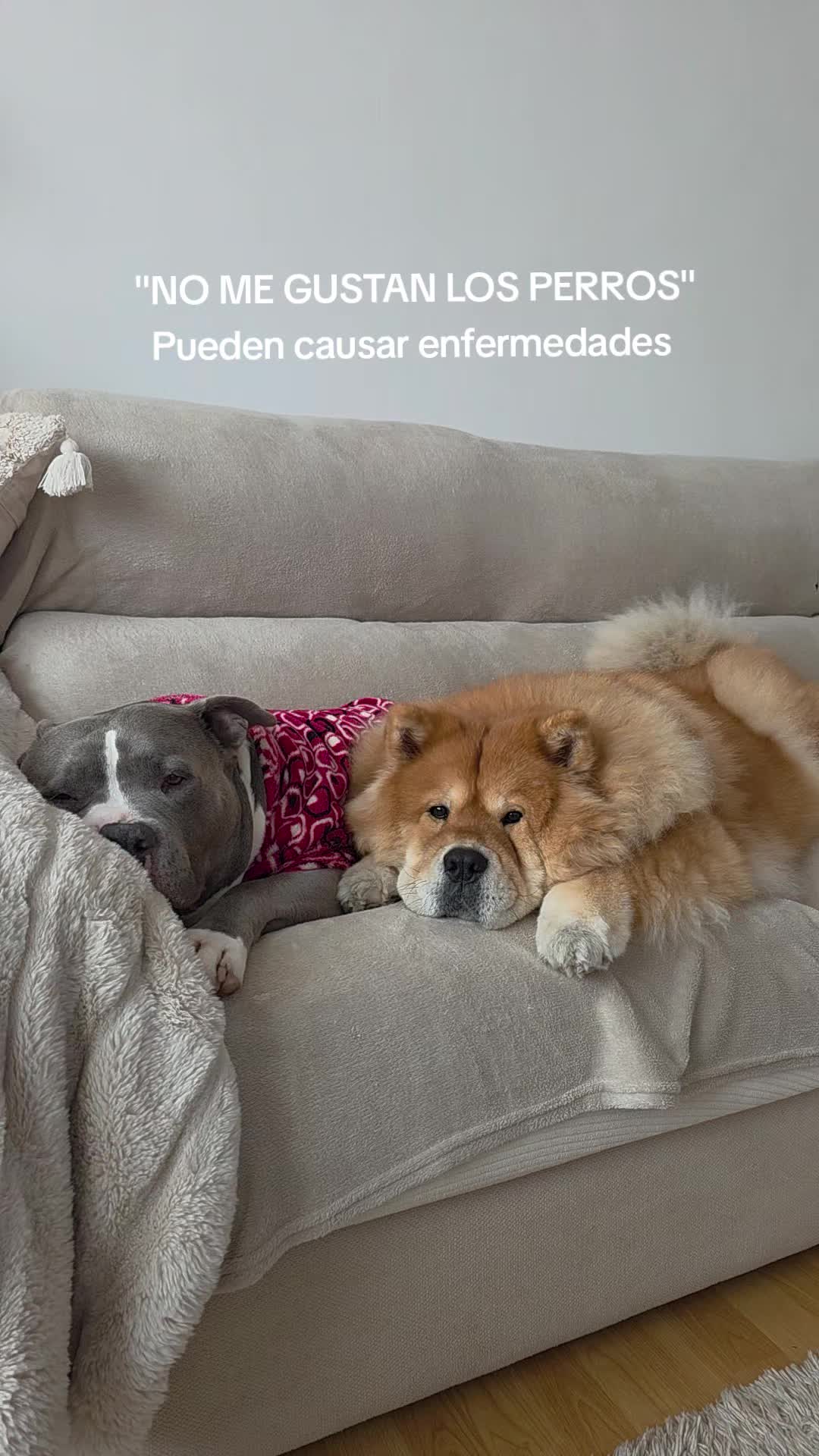 @Kenya y Daddy🐶