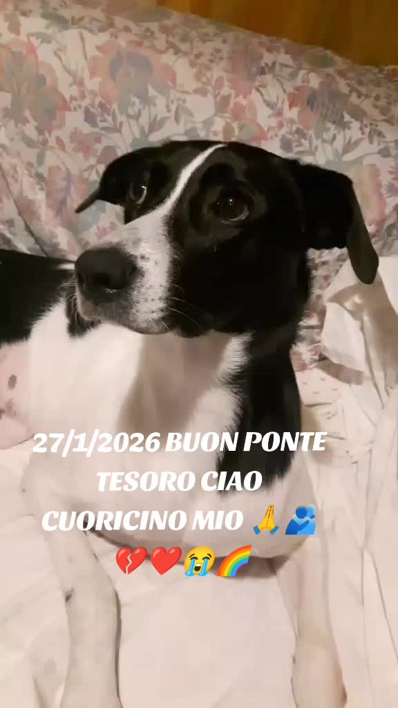 @Francesca Sciurti