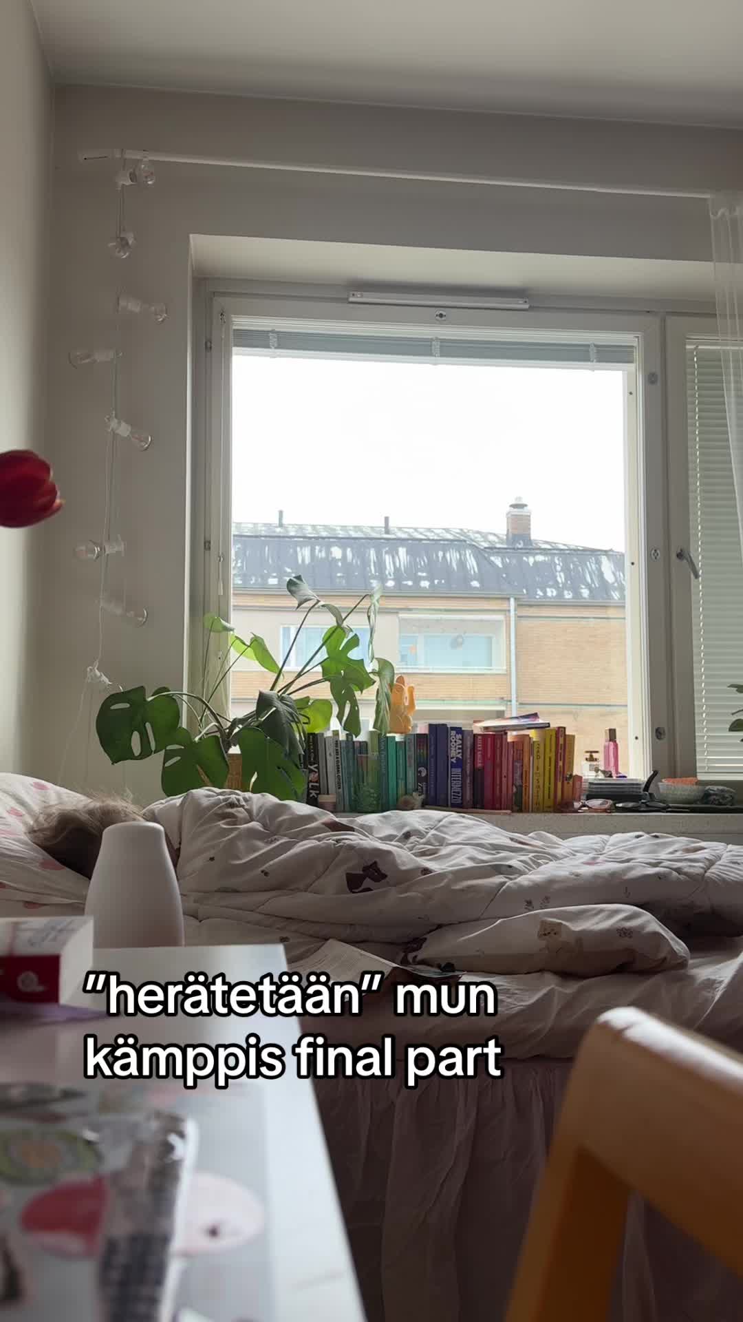 @maikkimus