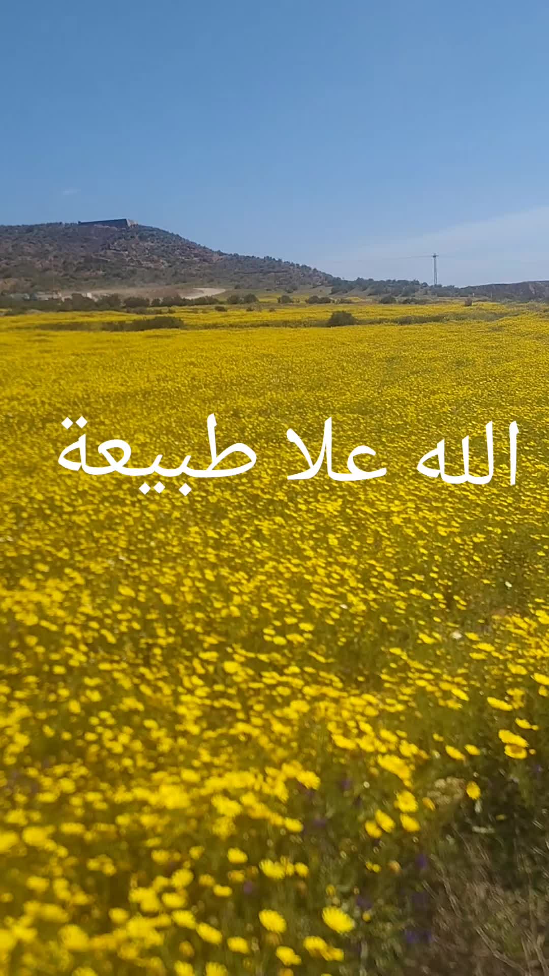 @🌷so so