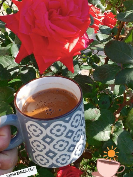 @Derya Coskun