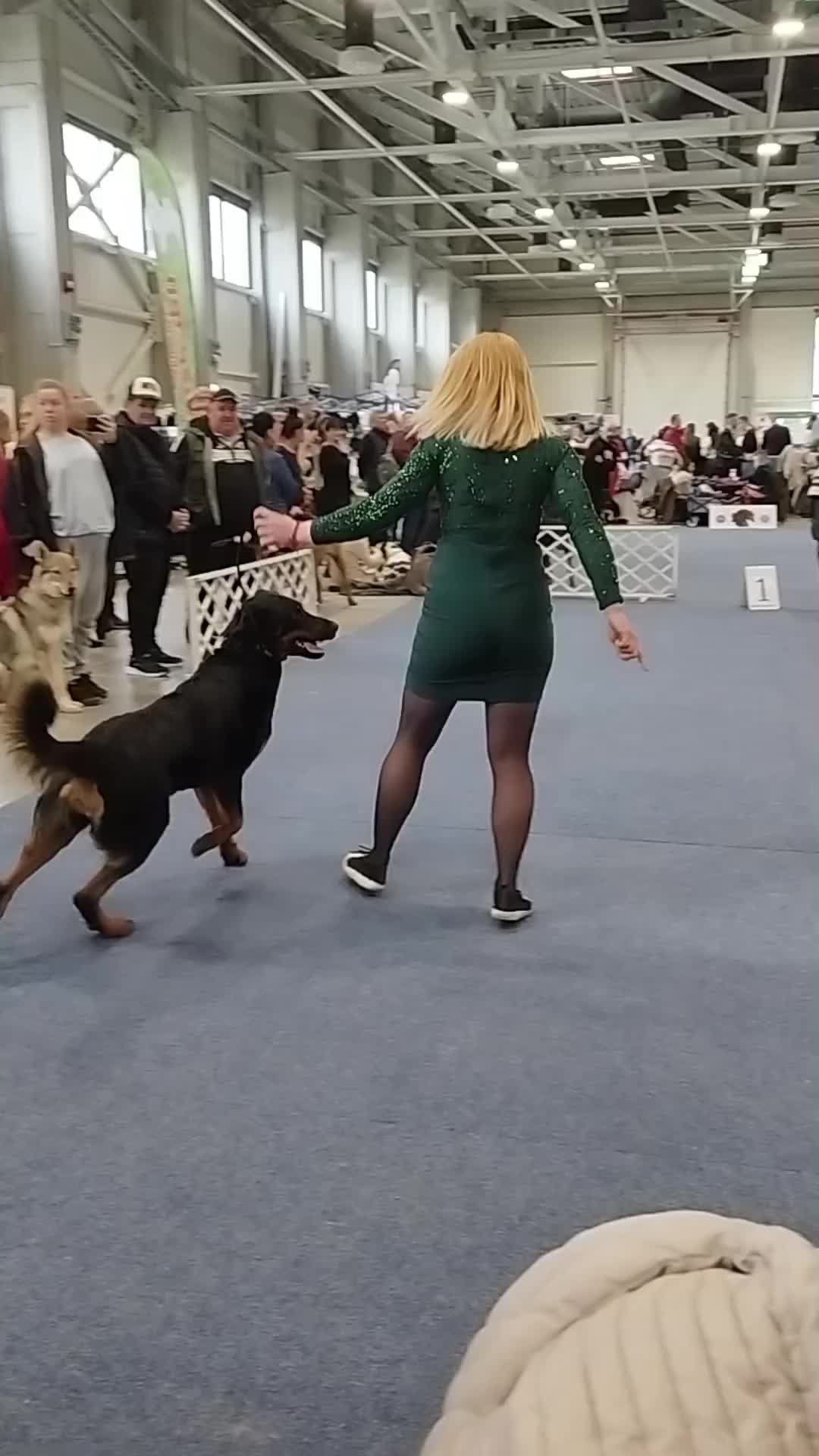 @Zelena Katalin :: Ame du Loup