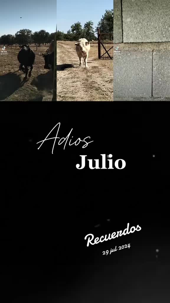 @Los quillitos