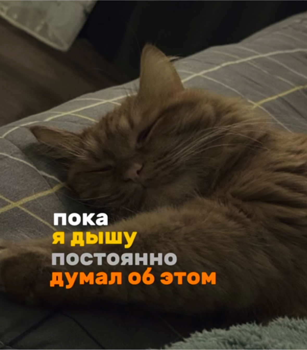 @𝔂𝓾𝓷𝓸十