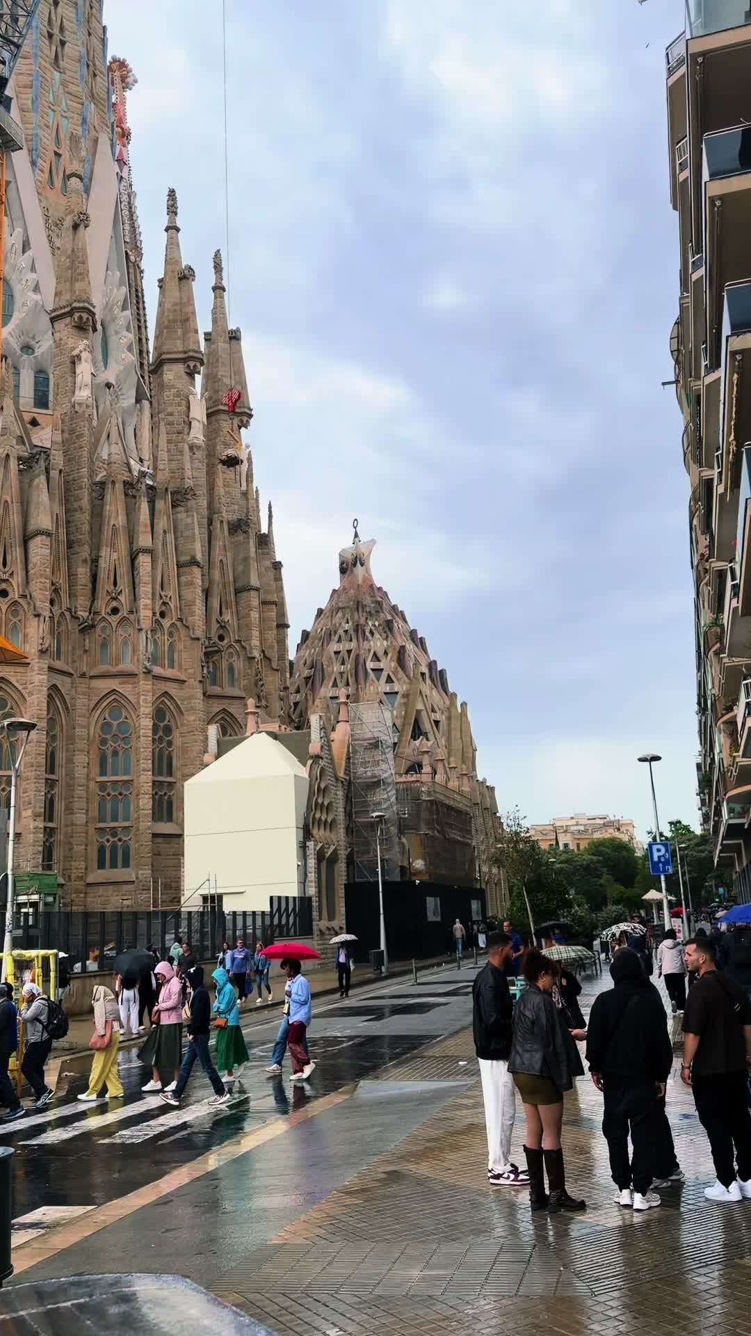@Maria Tariq🇪🇸🇵🇰