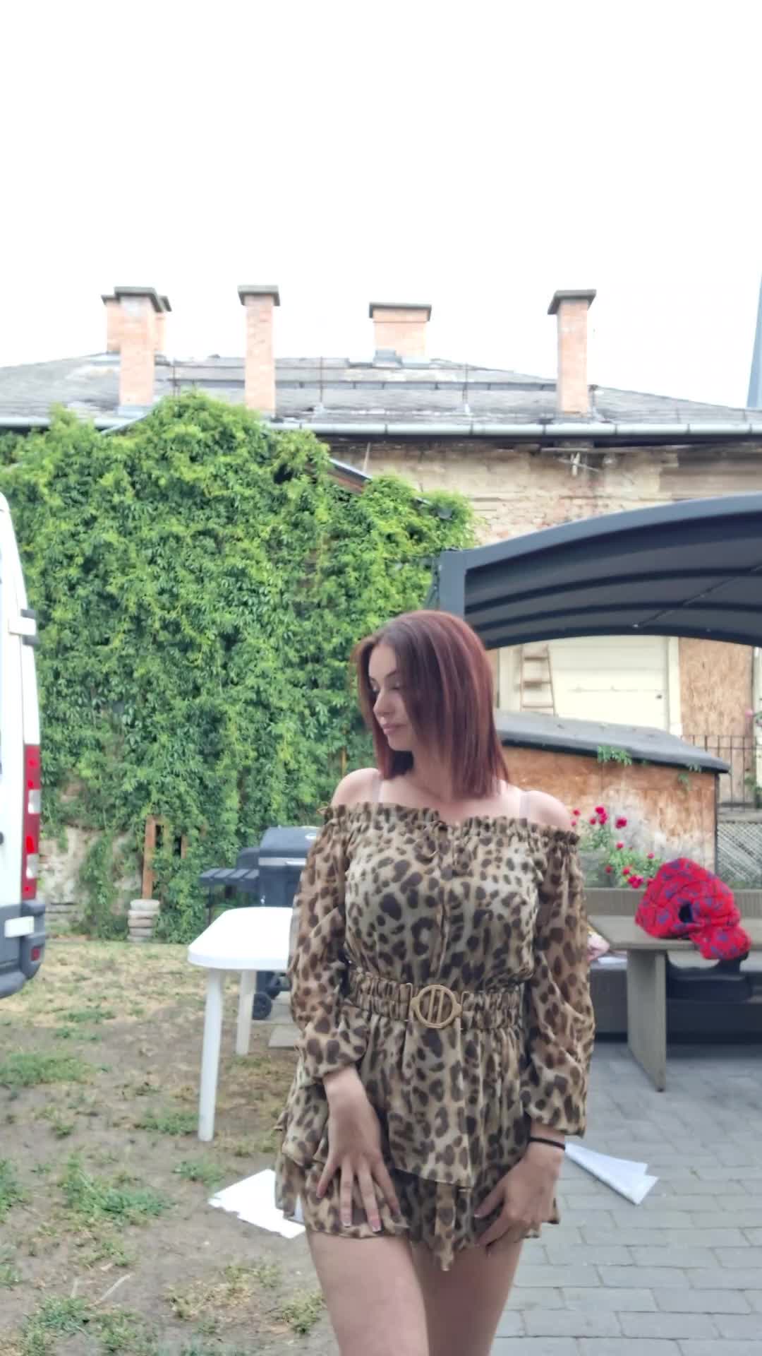 @🐆