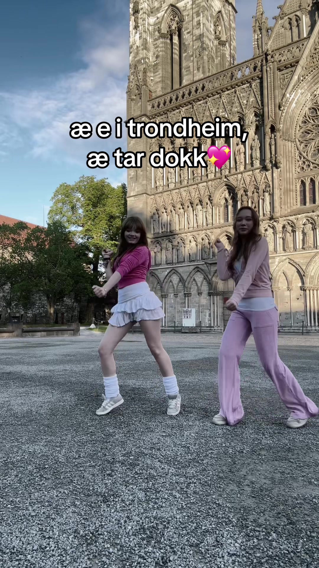 @vivz★彡