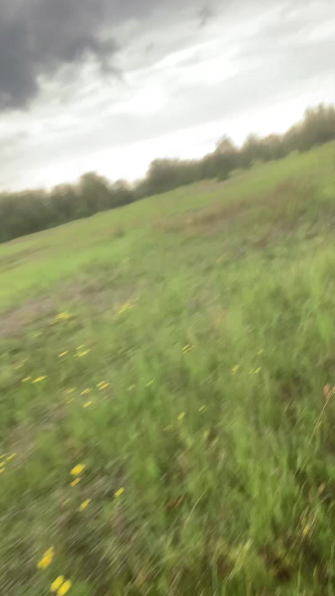 @лег