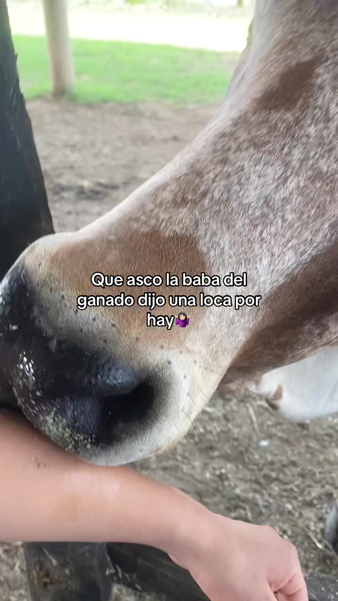 @Castañeda Rubio 🤠❤️