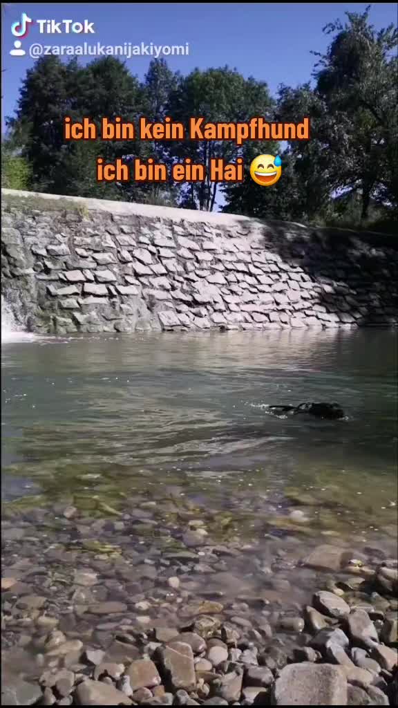@Zara Alukanija Kiyomi 🐕🐾