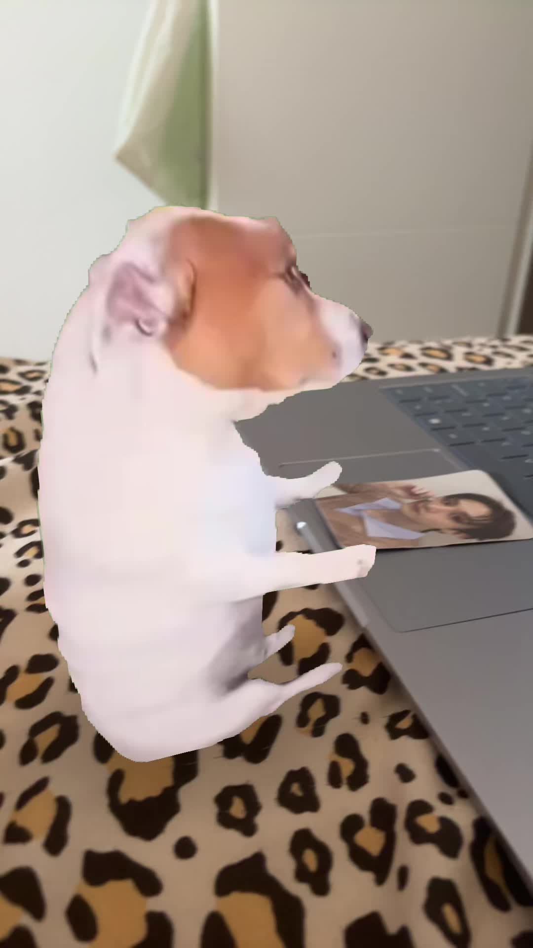 @𝓜𝓲𝓷𝓳𝓾⋆˚𝜗𝜚˚⋆&deg;🧸ྀི˚