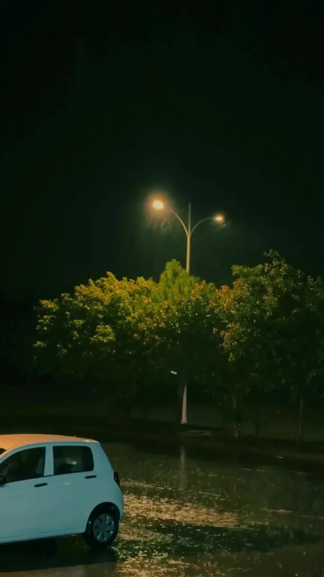@i̴t̴’s̴_a̴i̴n̴a̴✨