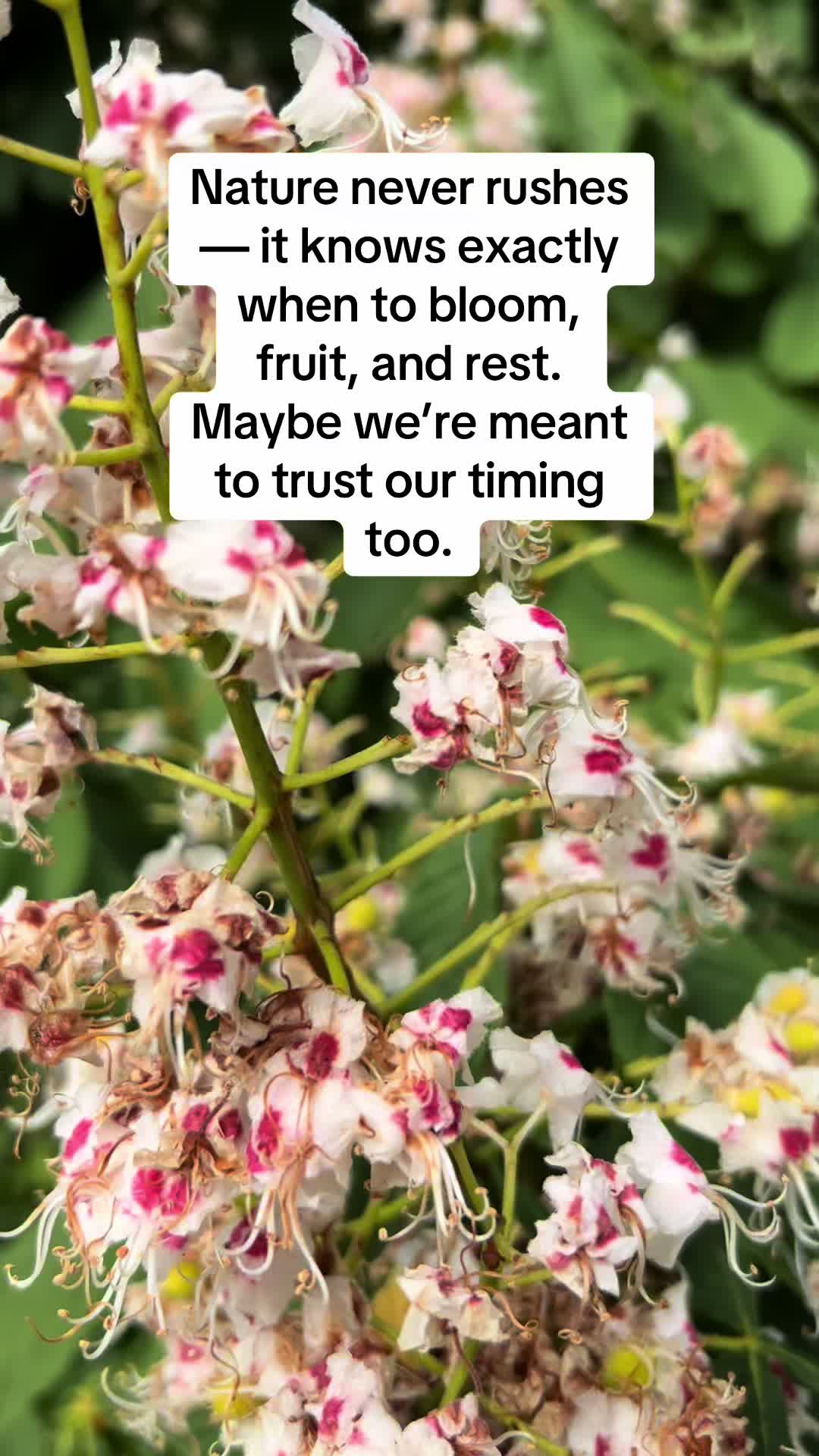 @healingheartsholistics