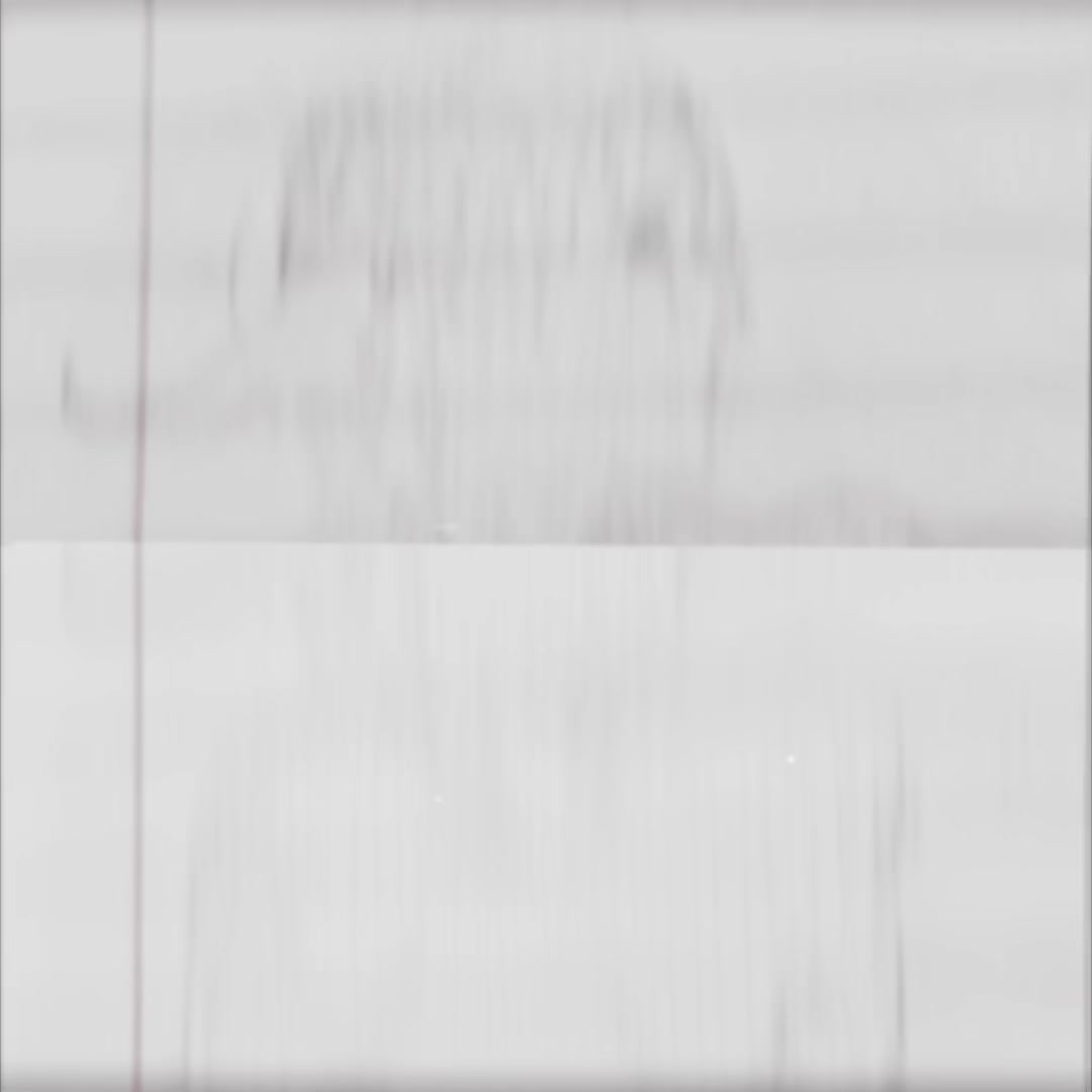 @Rev 🕷️ 👁️ 🐑