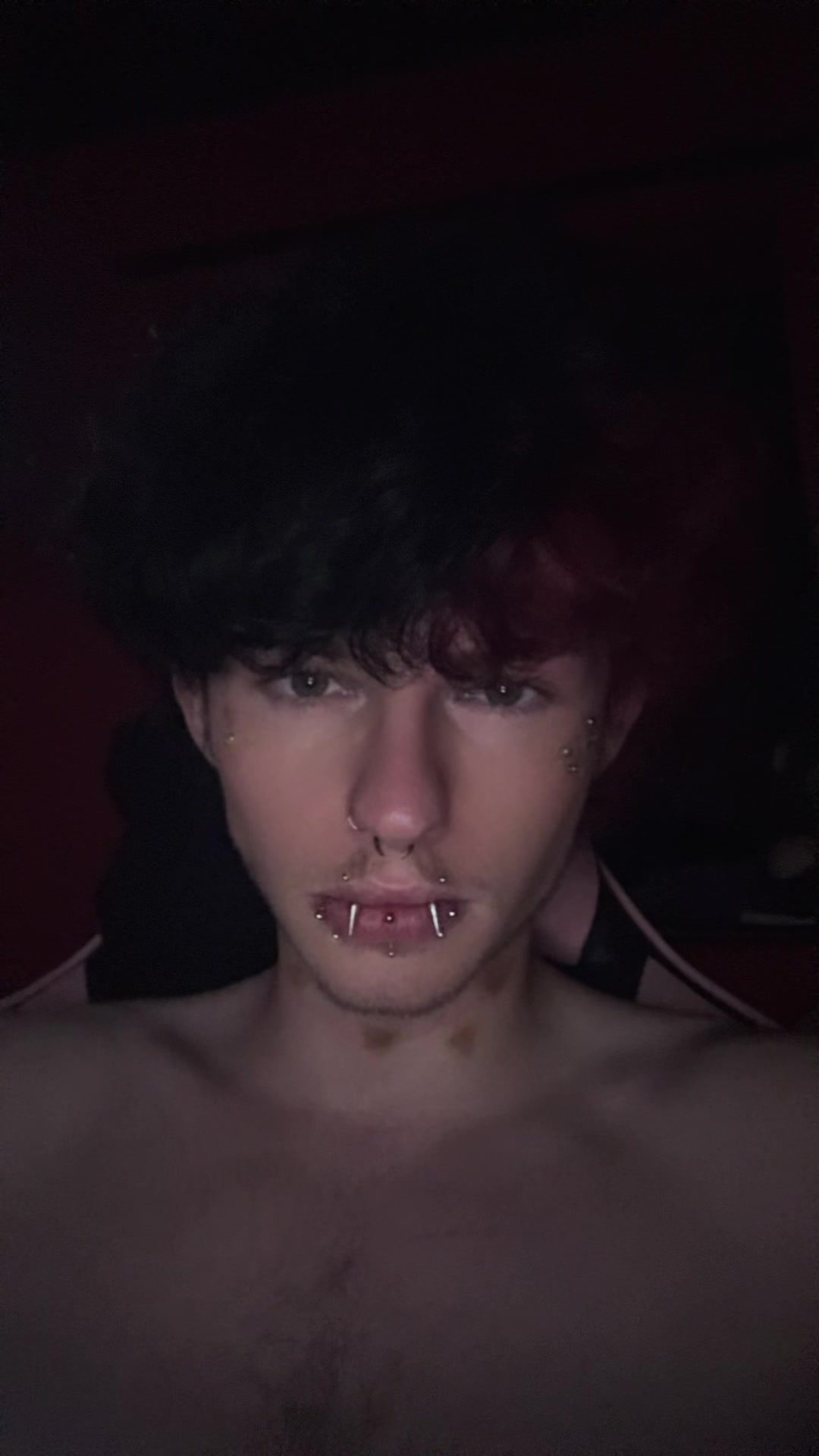 @🦇